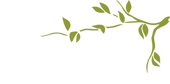 Westside Billing, LLC | Mental Health Billing Services | Massachusetts Logo